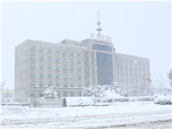 瑞雪兆豐年，踏雪沃爾華